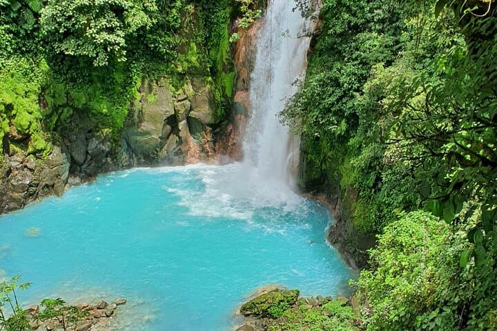 Rio Celeste Waterfall and Tenorio Volcano Day Trip — Sloths, Blue Water & Rainforest Hike