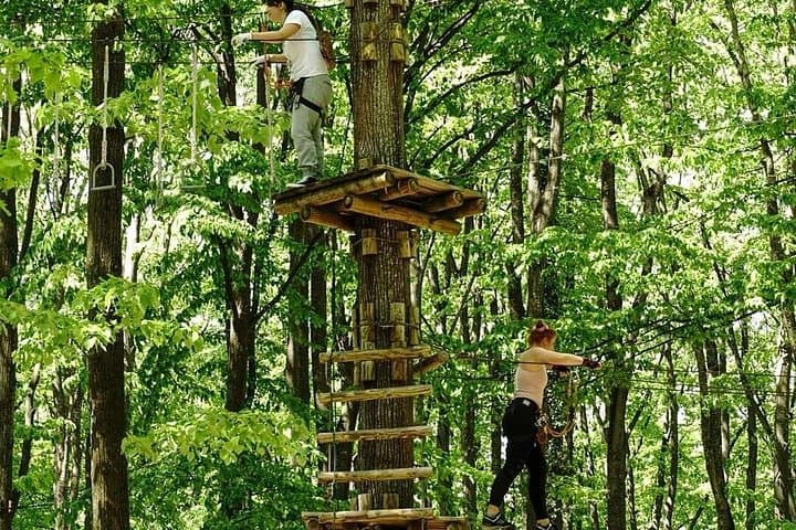 Edenland Adventure Park Near Bucharest: Zipline, Climbing & Horse Riding photo 1