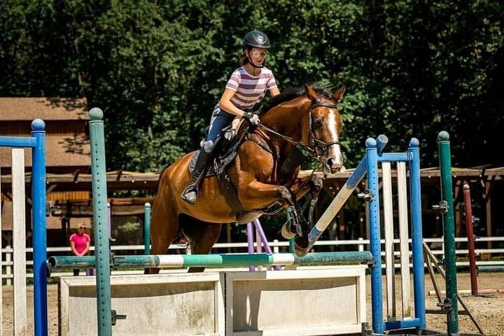 Edenland Adventure Park Near Bucharest: Zipline, Climbing & Horse Riding photo 3