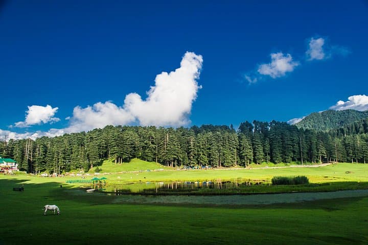 Himachal 9-Day Road Tour: Shimla, Manali, Dharamshala & Dalhousie photo 1