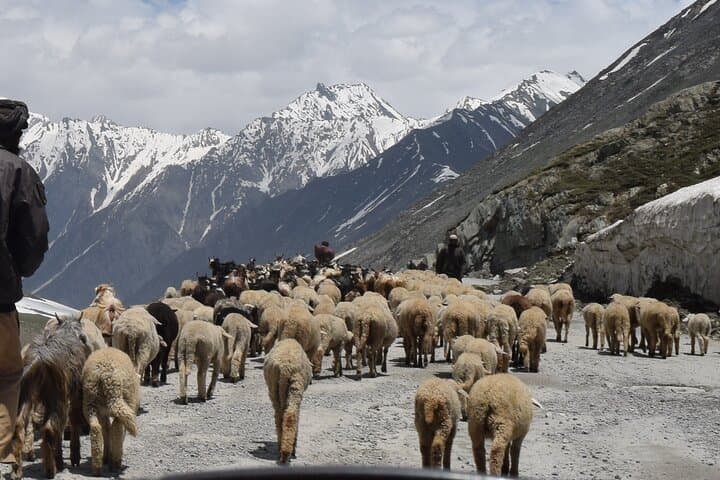 Manali Tour Package: 5-Day Kullu-Manali Itinerary from Delhi photo 5