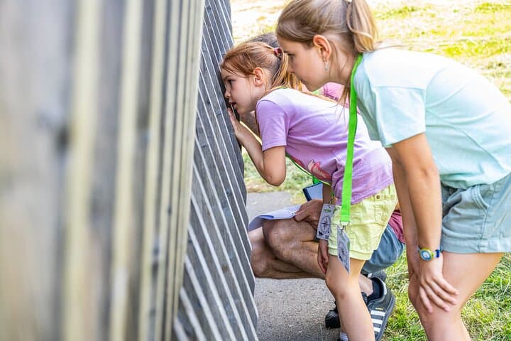 Wildhaus Foxtrail Funi: Interactive Treasure Hunt with Säntis & Churfirsten Views