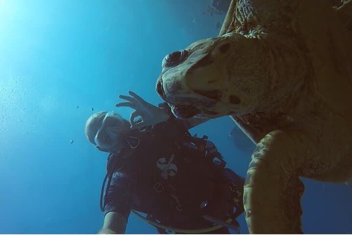 PADI Advanced Diving Course in Hurghada — Two-Day Red Sea Diving Intensive photo 4