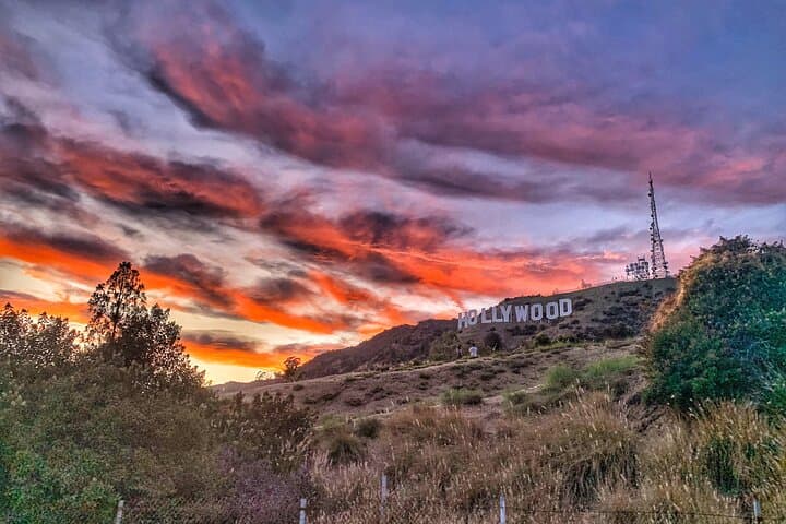Hollywood Sign Express: 75-Minute Comedy Hike with Dogs in Griffith Park photo 6