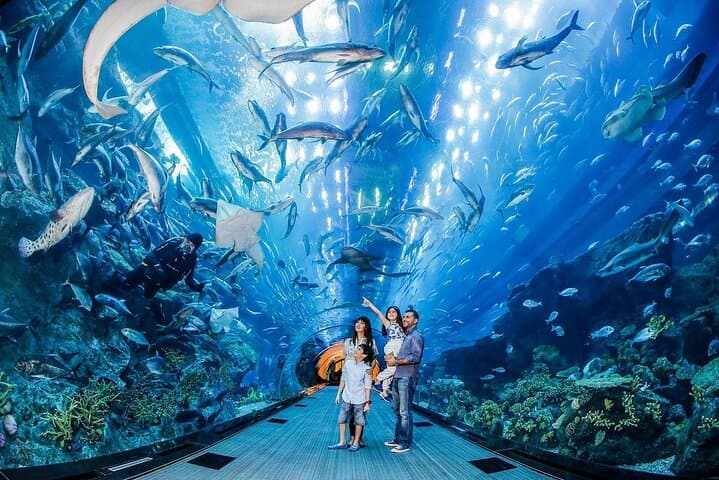 Dubai Mall Aquarium & Underwater Zoo — Tunnel Walk, King Croc & Marine Encounters photo 1