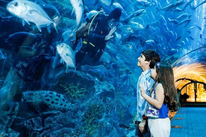 Dubai Mall Aquarium & Underwater Zoo — Tunnel Walk, King Croc & Marine Encounters photo 2