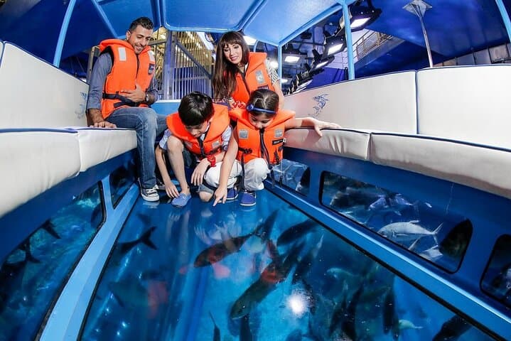 Dubai Mall Aquarium & Underwater Zoo — Tunnel Walk, King Croc & Marine Encounters photo 3