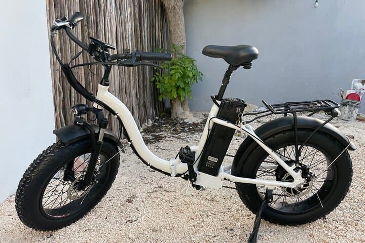 Tulum E-Bike Cenote Tour: Snorkel Three Cenotes, Mayan Lunch & Jungle Ride photo 5