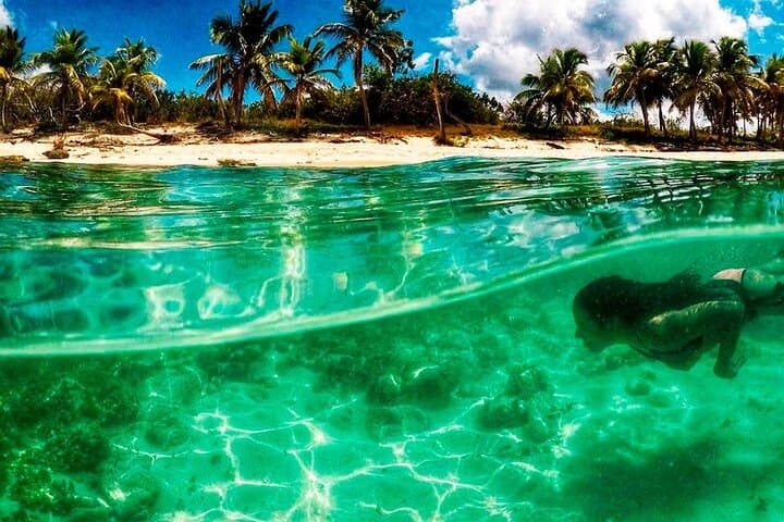 Catalina Island Dive Boat: Full-Day Scuba Adventure from Bayahibe photo 1