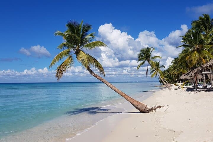 Full-Day Saona Island Excursion from Punta Cana: Beaches, Natural Pools & Local Lunch photo 4