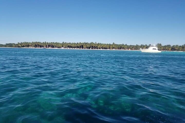 Saona Island Day Trip from Bayahibe: Natural Pool, Beaches & Dominican Lunch photo 4