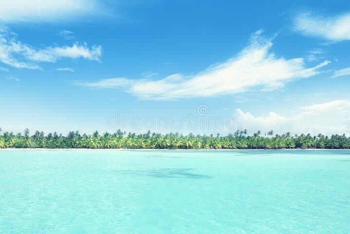 Private Speedboat to Isla Saona from Bavaro — Natural Pool, Starfish & Beach Lunch photo 3