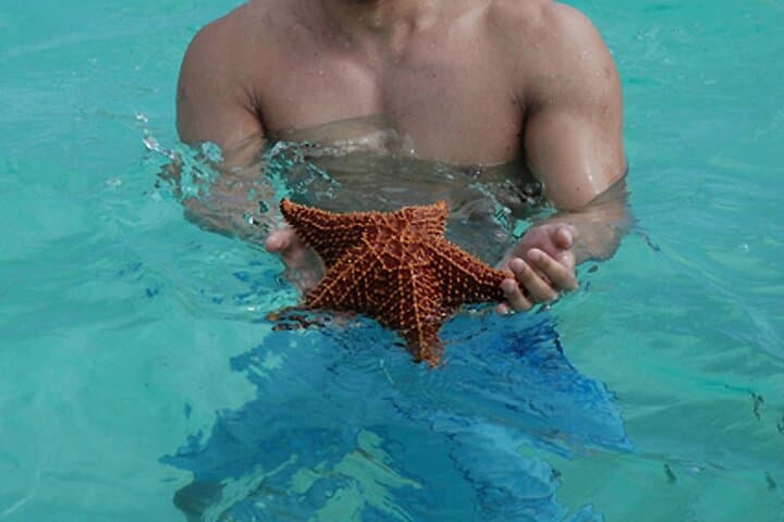 Saona Island Day Trip from Bayahibe: Natural Pool, Beaches & Dominican Lunch photo 5