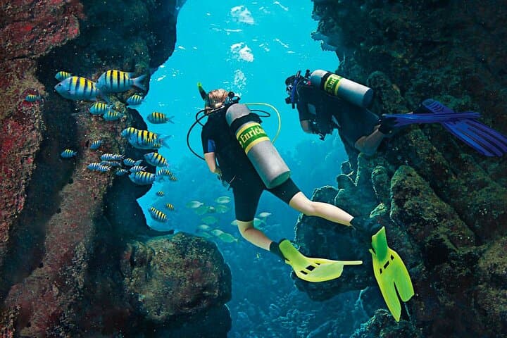 Catalina Island Dive Boat: Full-Day Scuba Adventure from Bayahibe photo 4