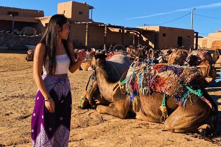 Sunset Camel Ride in Agafay Desert — Private Hotel Pickup from Marrakech