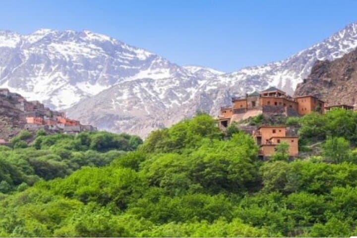 Full-Day Atlas Three Valleys Tour from Marrakech: Ourika, Asni & Toubkal Views photo 1