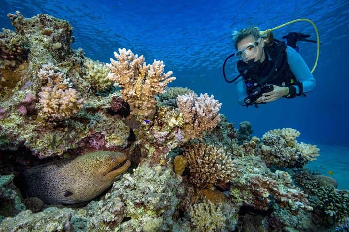 Hurghada Red Sea: Daily Two-Tank Guided Dive with Equipment photo 3
