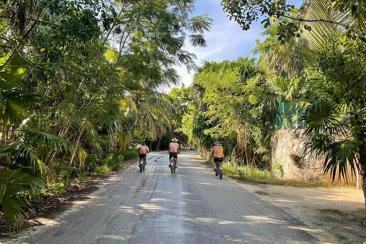 Explore Tulum by E‑Bike: A Self‑Guided Day of Ruins, Beaches & Cenotes photo 3