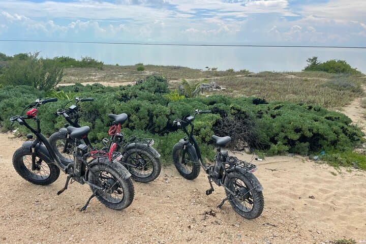 Explore Tulum by E‑Bike: A Self‑Guided Day of Ruins, Beaches & Cenotes photo 5