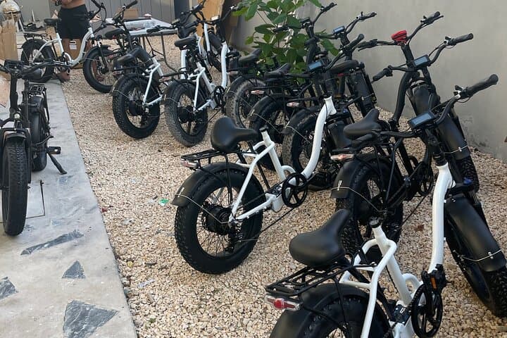 Explore Tulum by E‑Bike: A Self‑Guided Day of Ruins, Beaches & Cenotes photo 6