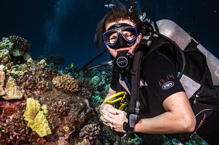 Discover Scuba in Lahaina: Introductory PADI Dive Experience photo 3