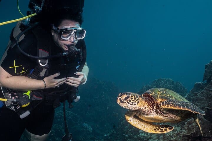 Discover Scuba in Lahaina: Introductory PADI Dive Experience photo 4