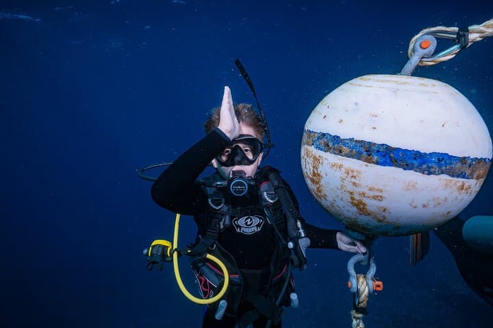 Mala Wharf Shark & Turtle Dive — Small-Group Certified Shore Dive in Lahaina