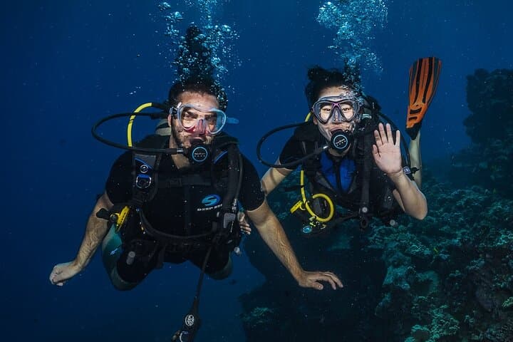 Mala Wharf Shark & Turtle Dive — Small-Group Certified Shore Dive in Lahaina photo 2