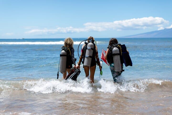 Mala Wharf Shark & Turtle Dive — Small-Group Certified Shore Dive in Lahaina photo 3