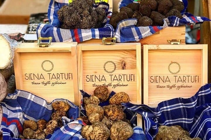 Truffle Hunting with Dogs near Siena: Hands-On Foraging & Tasting photo 4