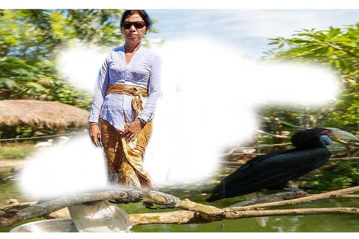Aling-Aling Waterfall Jumping & Sliding Tour from Bali — Hotel Transfer Included photo 6