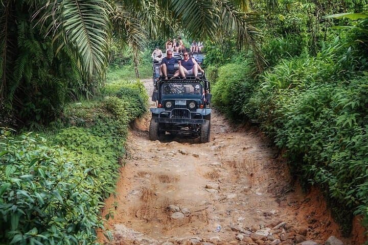 Just Jungle Private Eco Safari Tour in Koh Samui — Private 4x4 Island Highlights photo 3