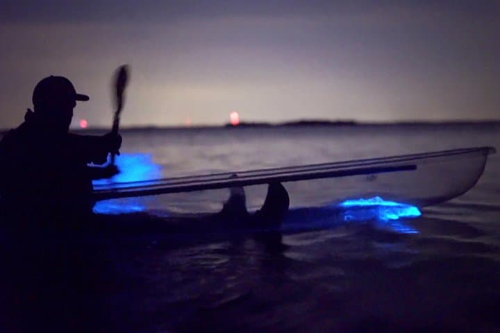 Titusville Bioluminescent Clear Kayak Tour — Space Coast Night Paddle photo 1