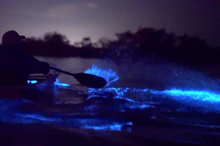Titusville Bioluminescent Clear Kayak Tour — Space Coast Night Paddle photo 2