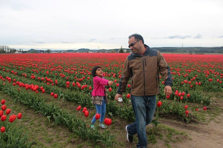 Skagit Valley Tulips, La Conner & Deception Pass: Full-Day Private SUV Tour photo 5
