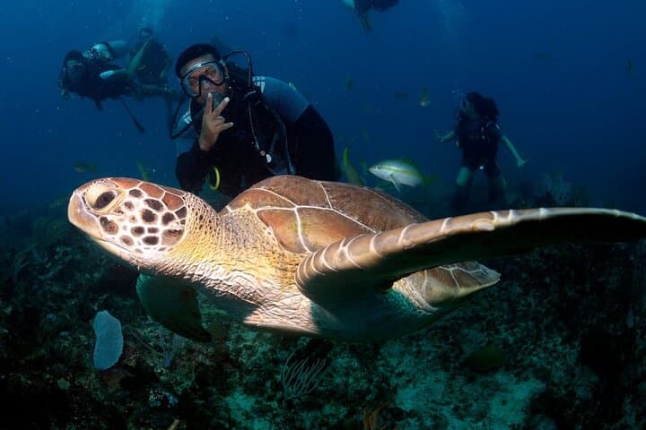Introductory Scuba Reef Dive in Punta Cana – Learn to Dive on a Caribbean Coral Reef