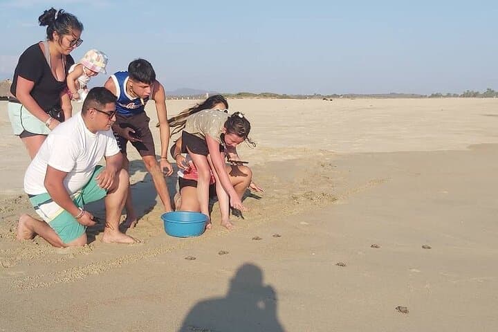 Huatulco Turtle Release & Manialtepec Bioluminescence Night Tour photo 5
