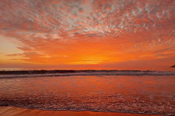 Huatulco Turtle Release & Manialtepec Bioluminescence Night Tour photo 6
