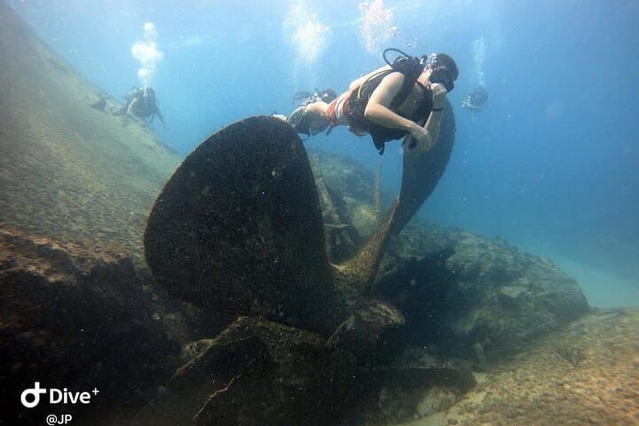 Introductory Scuba Reef Dive in Punta Cana – Learn to Dive on a Caribbean Coral Reef photo 5
