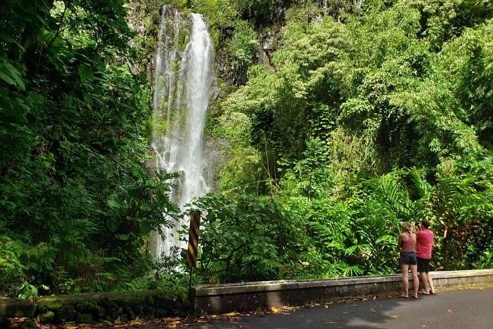 Private Full-Circle Reverse Road to Hana: Luxury Tour from South Maui
