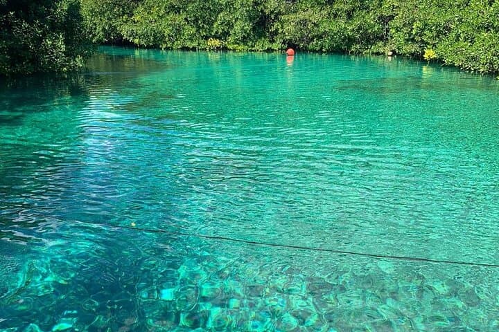Dos Ojos Cenote: 2-Tank Guided Scuba Dives with Mayan Lunch from Tulum photo 3