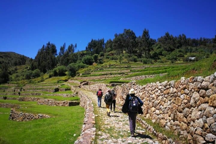 Cusco Llama Hike: Half-Day Acclimatization on Ancient Inca Trails photo 5