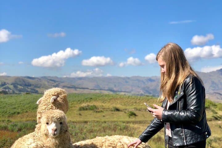 Cusco Llama Hike: Half-Day Acclimatization on Ancient Inca Trails