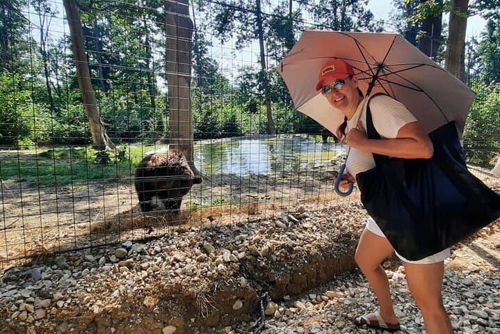Libearty Bear Sanctuary, Bran Castle & Poiana Brașov — Private Day Tour from Brașov photo 2