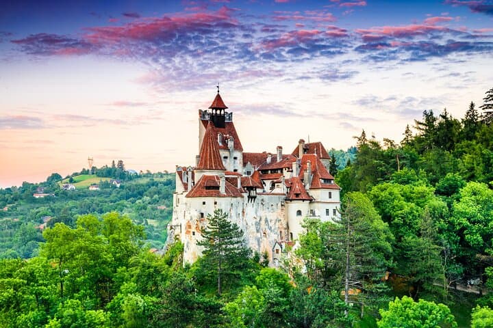 Libearty Bear Sanctuary, Bran Castle & Poiana Brașov — Private Day Tour from Brașov photo 3