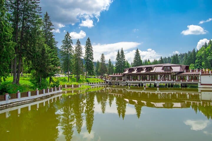 Libearty Bear Sanctuary, Bran Castle & Poiana Brașov — Private Day Tour from Brașov photo 5