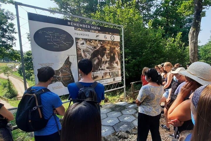 Libearty Bear Sanctuary, Bran Castle & Poiana Brașov — Private Day Tour from Brașov photo 6