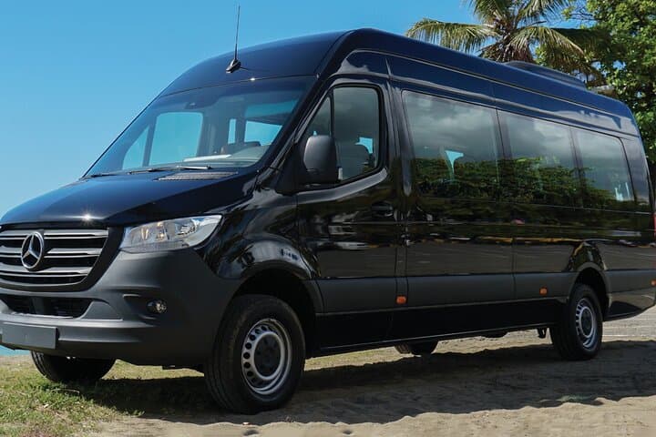 Private Transfer: Seattle Airport (SEA) to Downtown — Minibus or SUV Arrival
