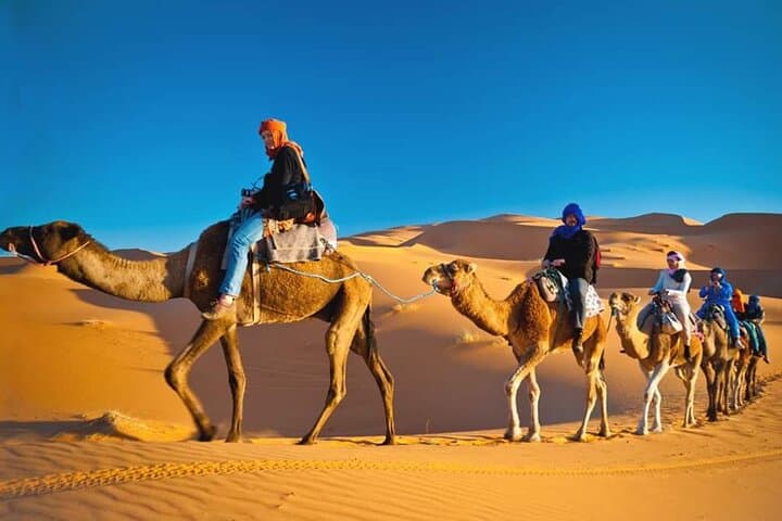 VIP Desert Safari Dubai: Luxury Dune Bashing, Sunset & Camp Experience photo 6