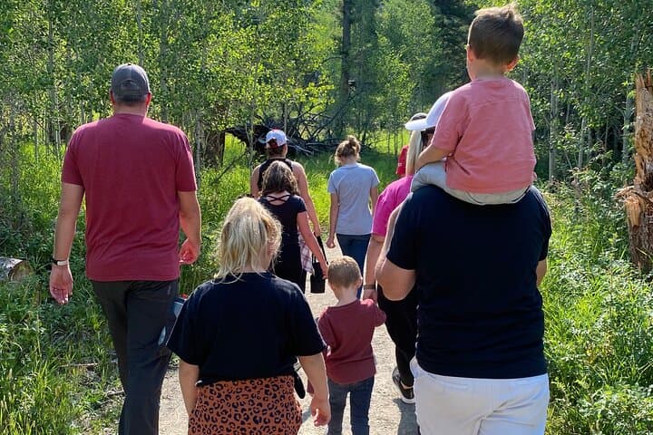 Yellowstone Full-Day Upper Loop Wildlife Tour from Gardiner — Grizzlies, Bison & Scenic Views photo 2